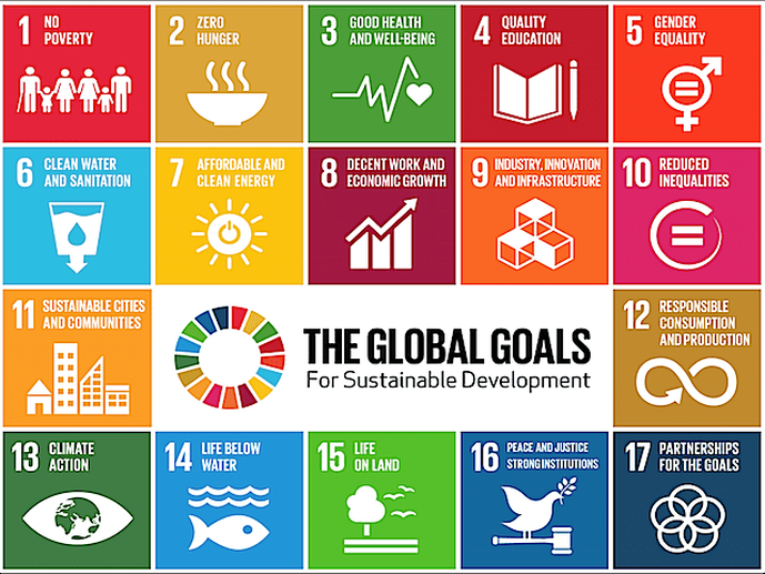 Energy Conservation and Sustainabe Development