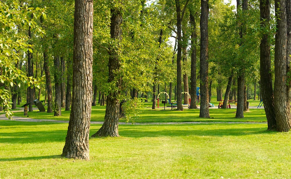 Organic Waste Composting for Park