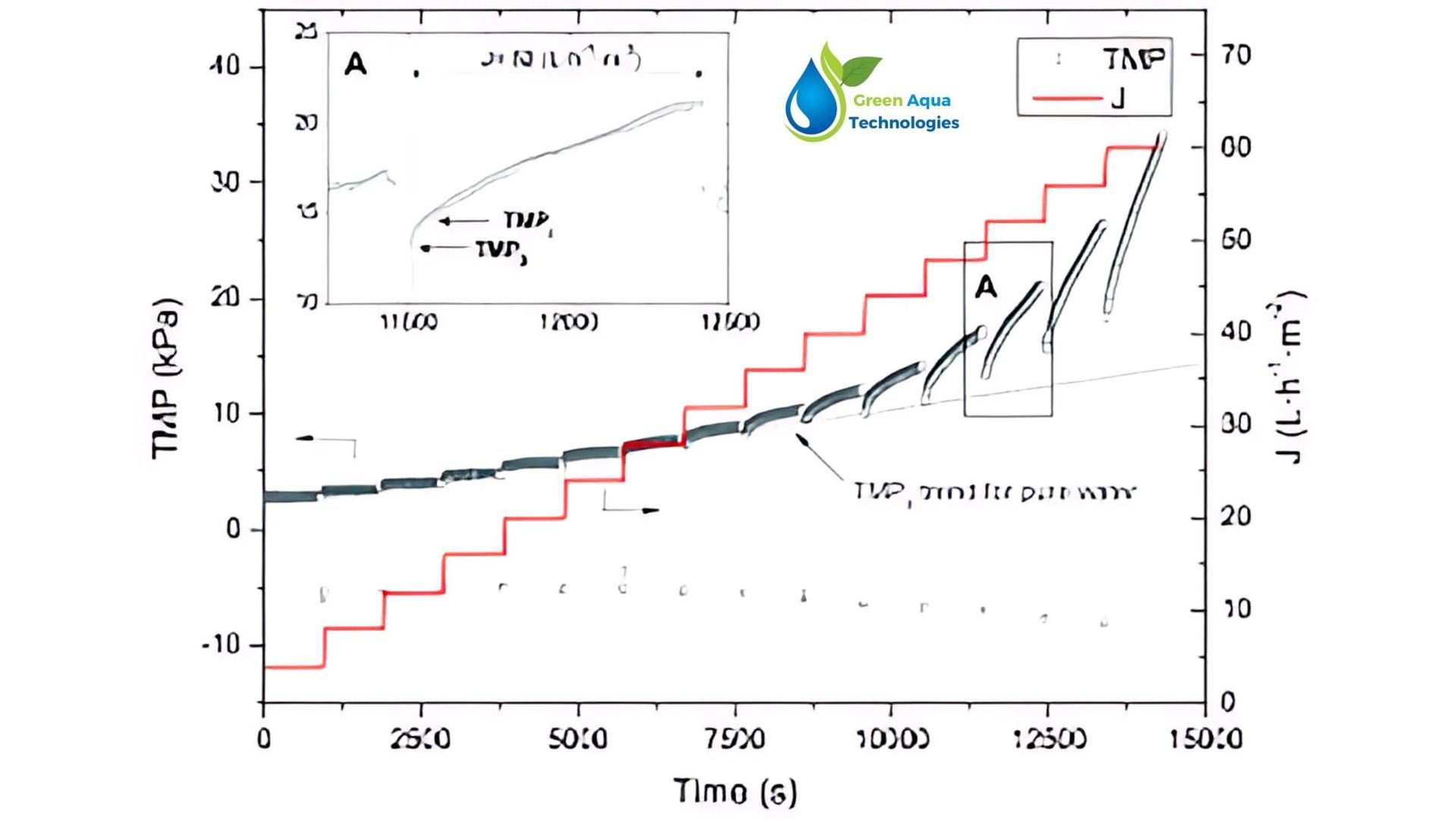 You are currently viewing What is Transmembrane Pressure (TMP)?