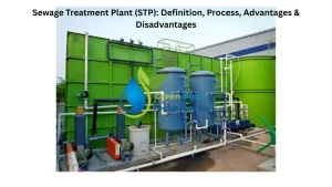 Read more about the article Sewage Treatment Plant (STP): Definition, Process, Advantages & Disadvantages